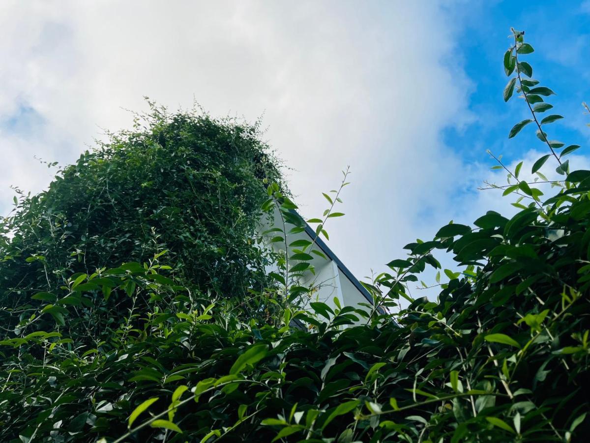 Coto Center Homestay เดาโกโต ภายนอก รูปภาพ